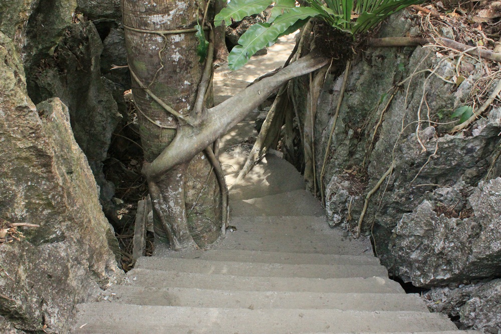 Calbayog Hopes Malajog Zip Line Will Bring Zip to Local Tourism