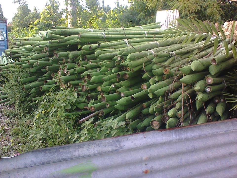 HUNDREDS OF UNUSED BANCA FOR YOLANDA VICTIMS DETERIORATING