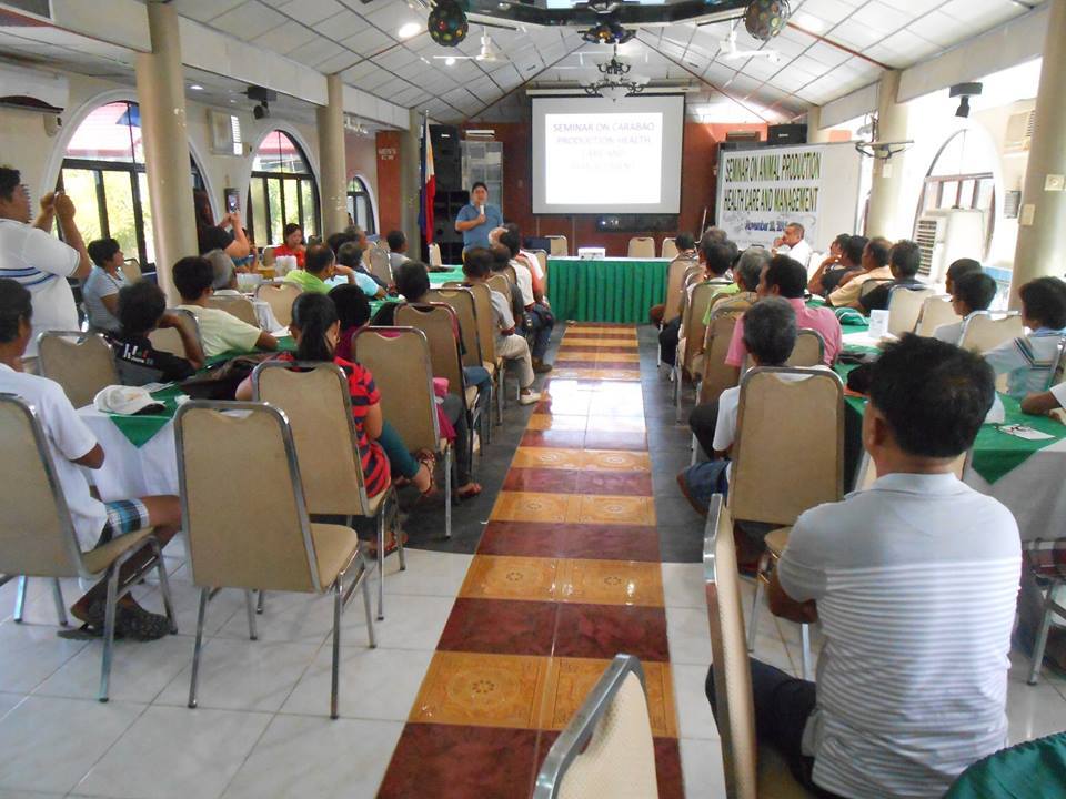 CITY GOVT. ACTS TO SALVAGE DWINDLING CARABAO POPULATION