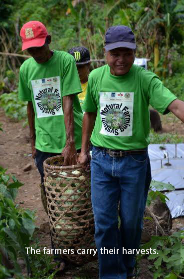 22 FARMERS NOW CERTIFIED ORGANIC VEGETABLE PRODUCERS