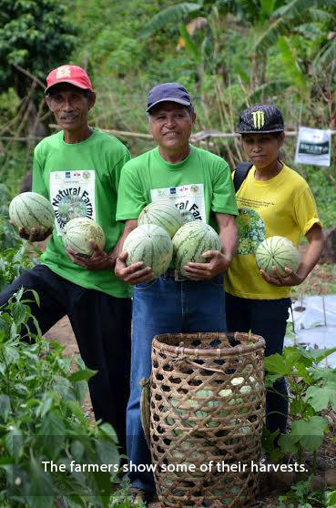 22 FARMERS NOW CERTIFIED ORGANIC VEGETABLE PRODUCERS