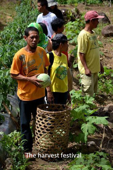 22 FARMERS NOW CERTIFIED ORGANIC VEGETABLE PRODUCERS