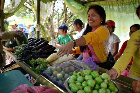 22 FARMERS NOW CERTIFIED ORGANIC VEGETABLE PRODUCERS