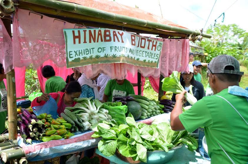 22 FARMERS NOW CERTIFIED ORGANIC VEGETABLE PRODUCERS