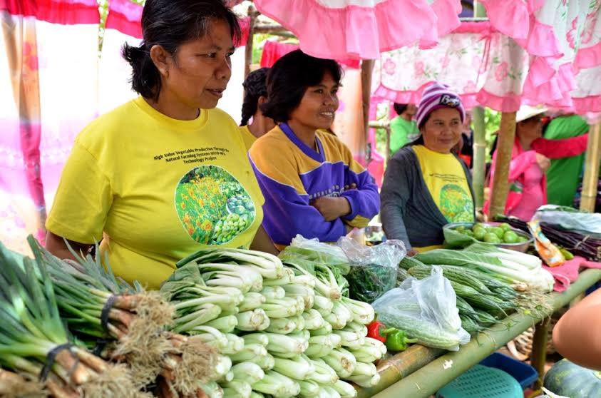 22 FARMERS NOW CERTIFIED ORGANIC VEGETABLE PRODUCERS
