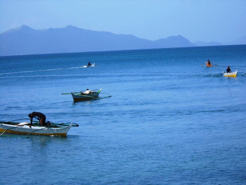 CALBAYOG GOVT. ACTS ON DEPLETING SAMAR SEA RESOURCES
