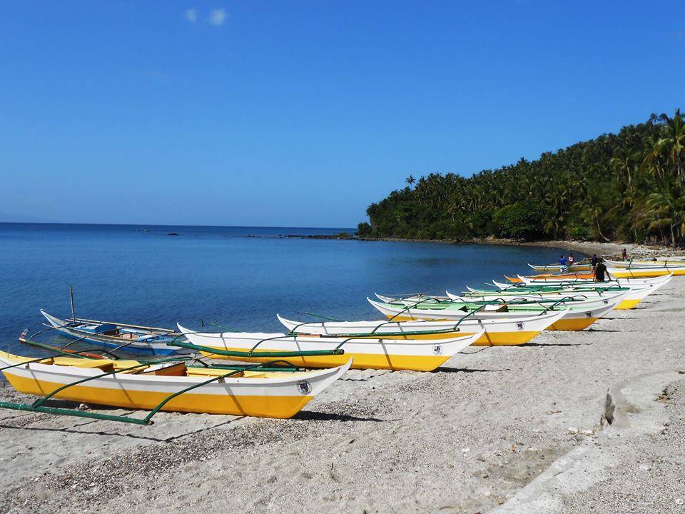 CALBAYOG GOVT. ACTS ON DEPLETING SAMAR SEA RESOURCES