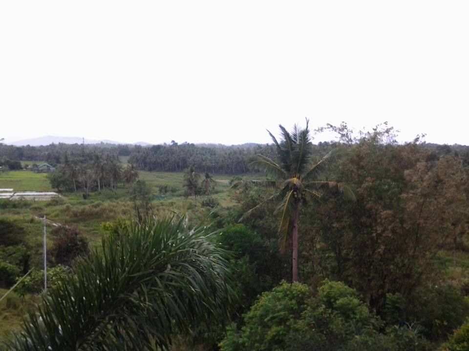 ALTURA VILLAS AND MAHOGANY HOMES SUBDIVISION, IN CALBAYOG CITY