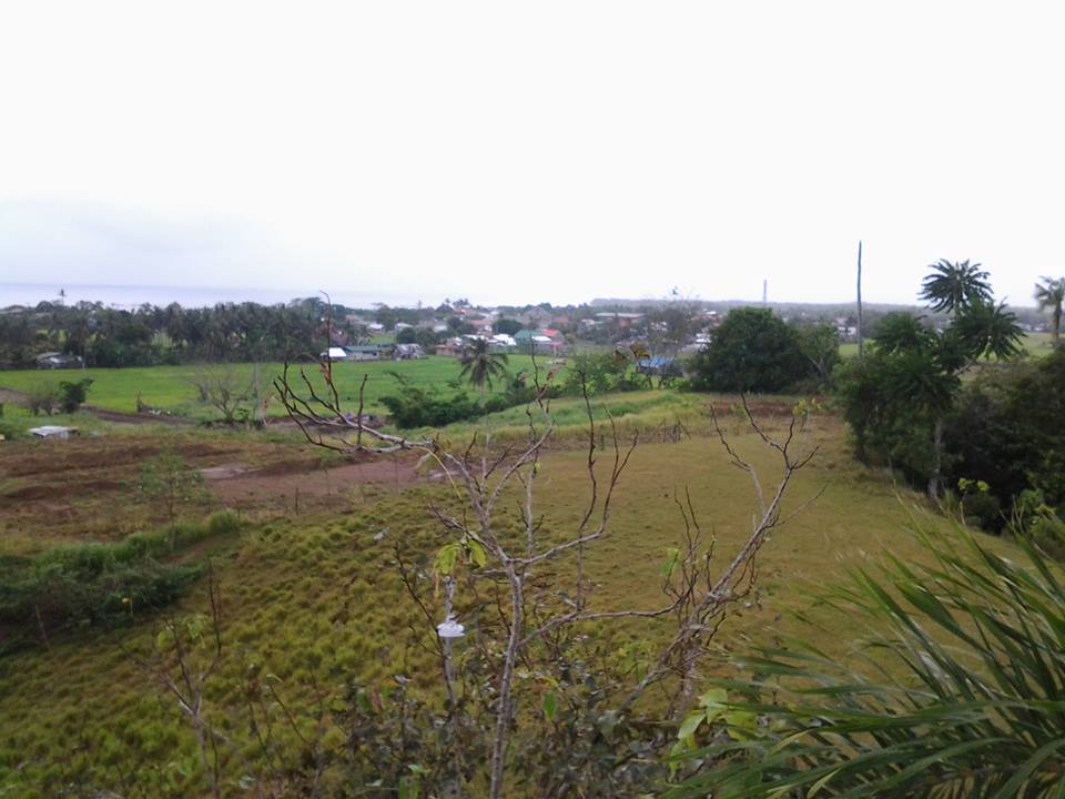 ALTURA VILLAS AND MAHOGANY HOMES SUBDIVISION, IN CALBAYOG CITY
