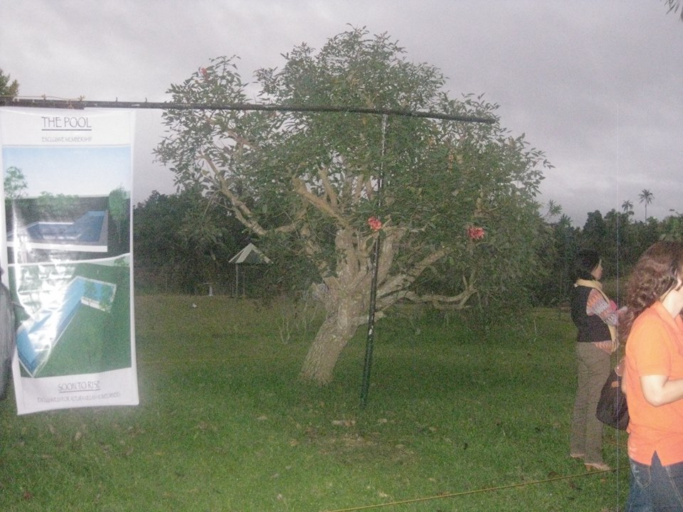 ALTURA VILLAS AND MAHOGANY HOMES SUBDIVISION, IN CALBAYOG CITY