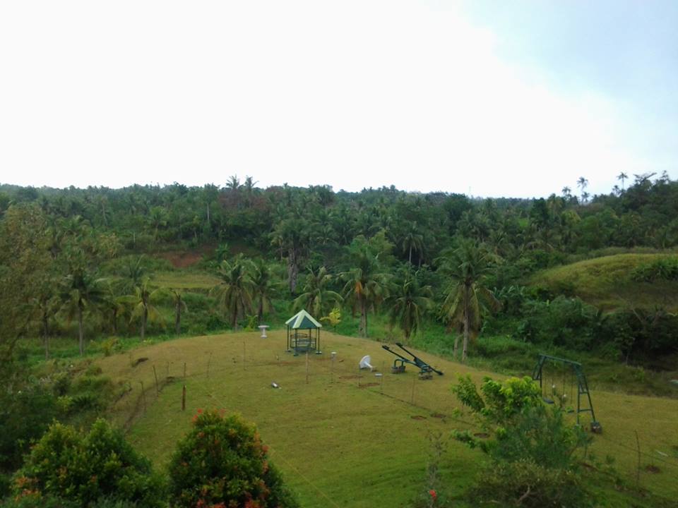 ALTURA VILLAS AND MAHOGANY HOMES SUBDIVISION, IN CALBAYOG CITY