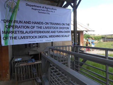 CALBAYOG EYES INDEPENDENT MEAT INDUSTRY