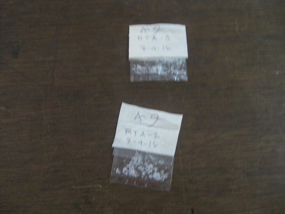 CALBAYOG’S 3RD MOST WANTED PERSON AND ONE OTHER SACKED