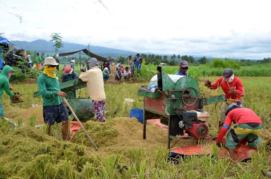 16 ORMOC AGRARIAN BENEFICIARIES CELEBRATE FIRST HARVEST