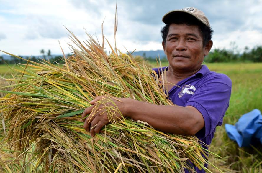 16 ORMOC AGRARIAN BENEFICIARIES CELEBRATE FIRST HARVEST