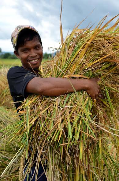 16 ORMOC AGRARIAN BENEFICIARIES CELEBRATE FIRST HARVEST