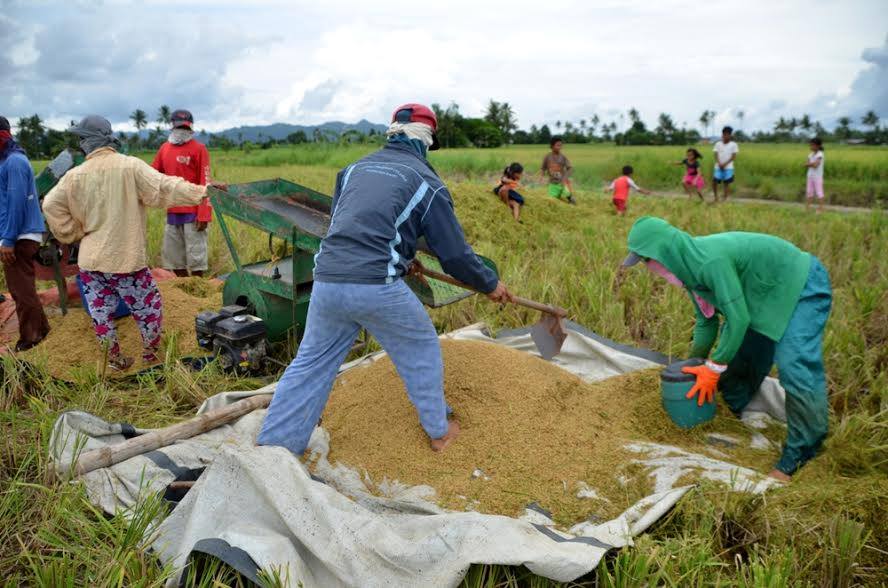 16 ORMOC AGRARIAN BENEFICIARIES CELEBRATE FIRST HARVEST