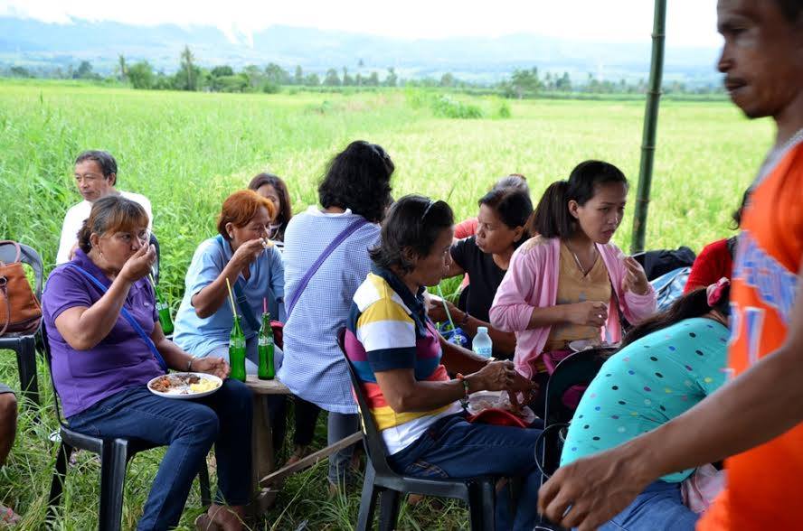16 ORMOC AGRARIAN BENEFICIARIES CELEBRATE FIRST HARVEST