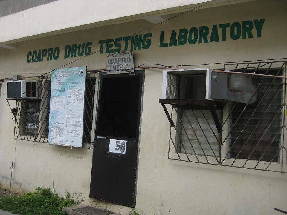 DRUG DEPENDENTS- SURRENDEREES TO UNDERGO ASSESSMENT