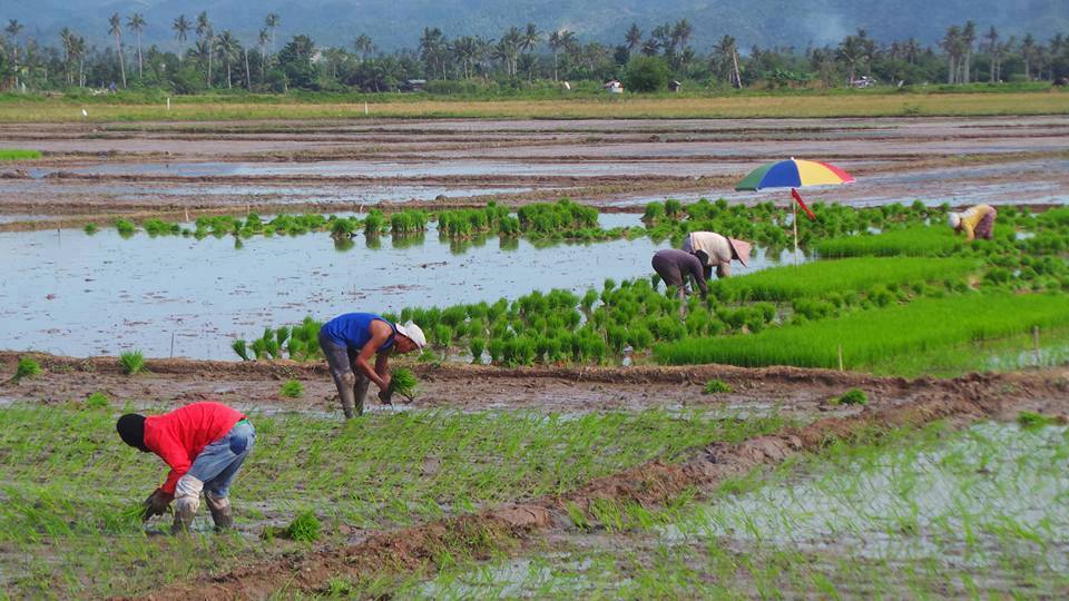 DA’S SAAD PROGRAM: A PROMISE FULFILLED