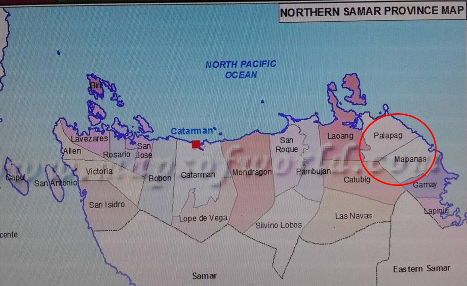 NPA RECRUITS CHILDREN AFTER SERIES OF CLASHES WITH GOV’T SOLDIERS AROUND EAST VISAYAS12-year-Old-Boy-NPA-Courier Rescued; Gov’t. Intel Ops Beefed-up