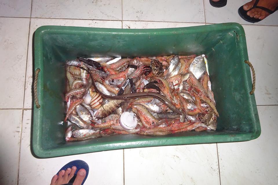 11 FISHERMEN IN 7 TRAWL BOATS CAUGHT REDHANDEDLY CONDUCTING ILLEGAL FISHING
