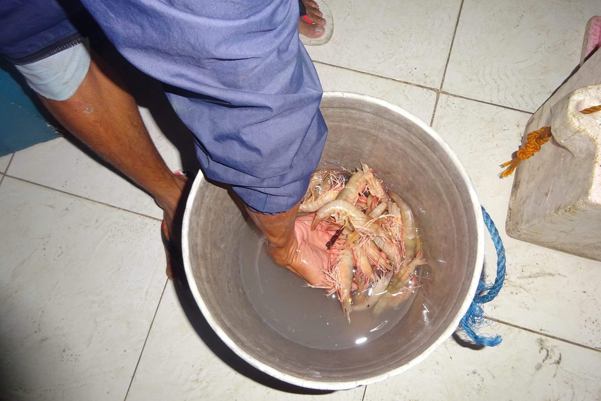 11 FISHERMEN IN 7 TRAWL BOATS CAUGHT REDHANDEDLY CONDUCTING ILLEGAL FISHING