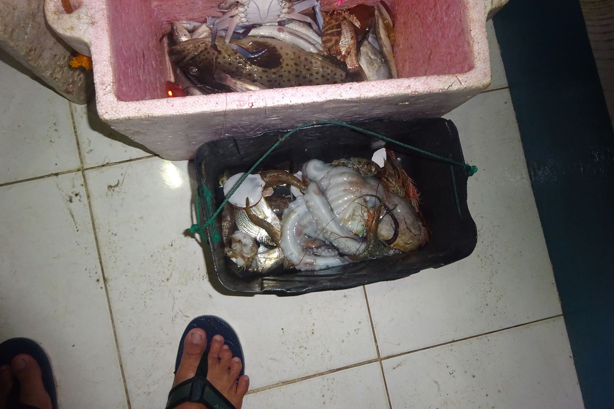 11 FISHERMEN IN 7 TRAWL BOATS CAUGHT REDHANDEDLY CONDUCTING ILLEGAL FISHING