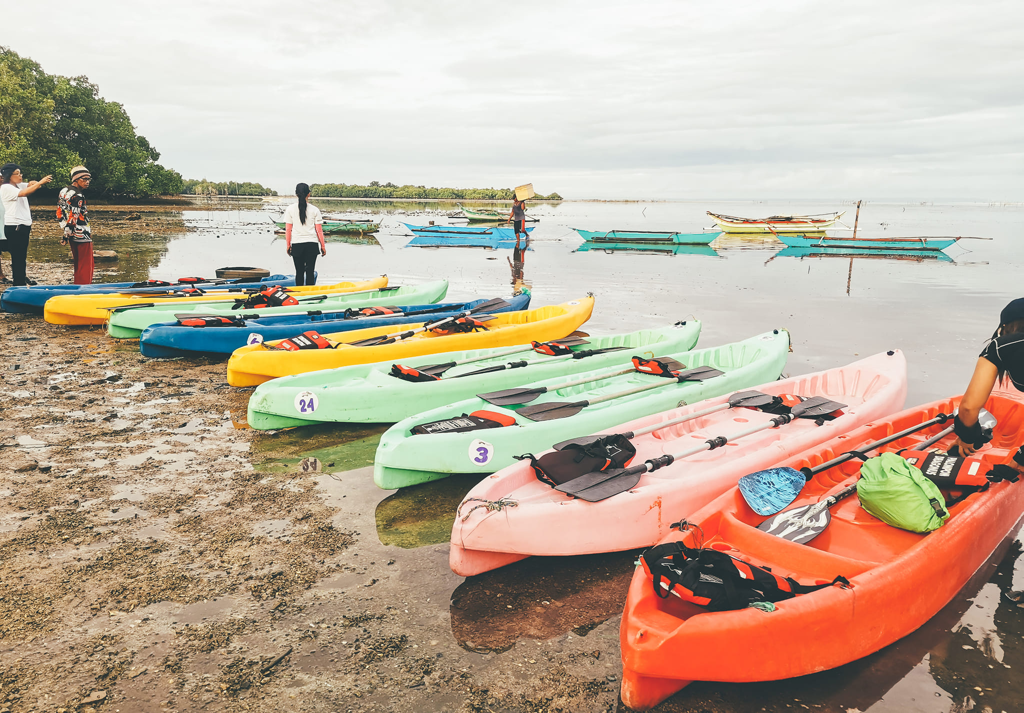 EV MEDIA ADOPTS MANGROVE REFORESTATION IN PALOMPON